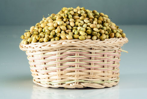 Blog Thumbnail Image